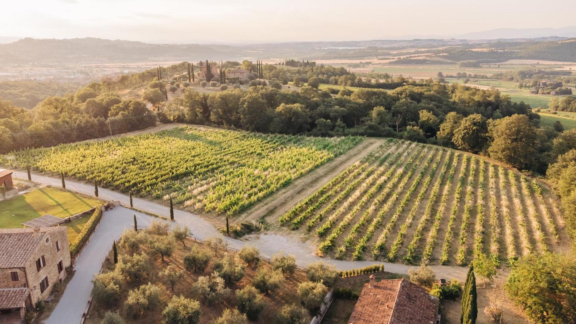 Borgo Siliano - Antico Podere Siliano Villa Città della Pieve Buitenkant foto